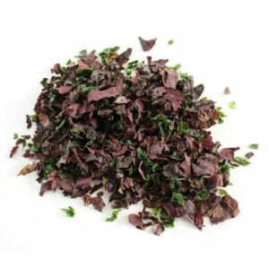 Salade Océane «mélange 3 algues » Bio