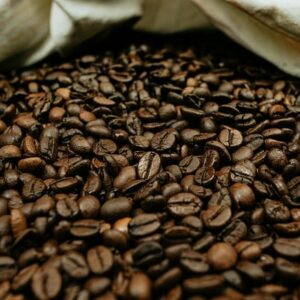 Café en grain Shere Khan Bio