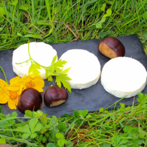 Cabecou de chèvre