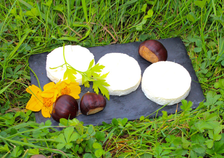 Cabecou de chèvre