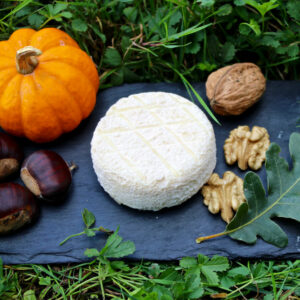 Crottin de chèvre