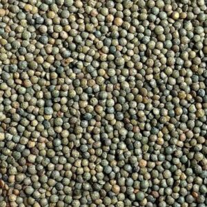 Lentilles Vertes Vrac