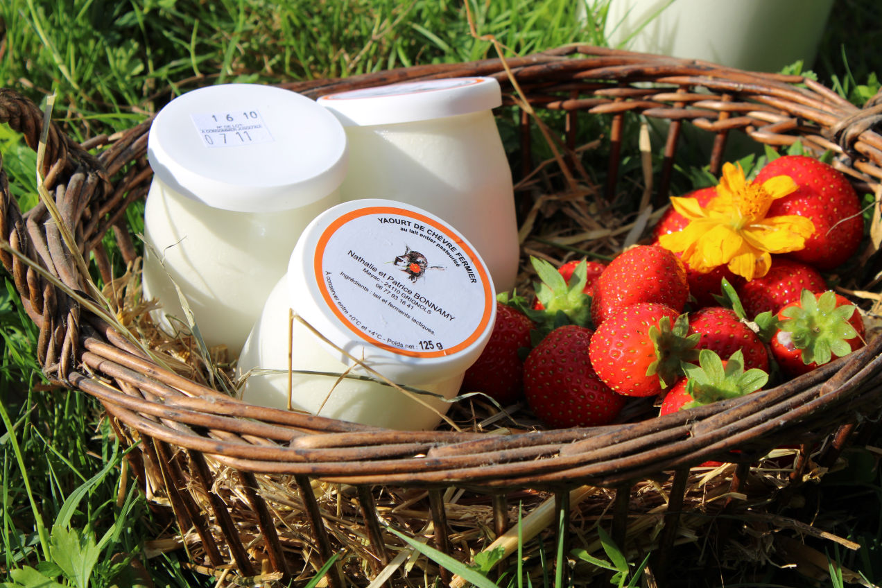 Yaourts chèvre